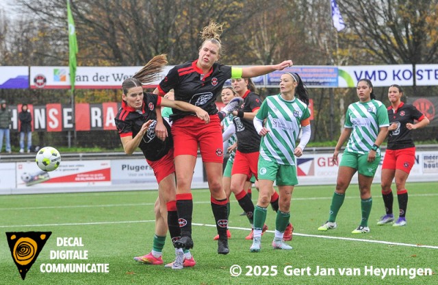 ARC - Xerxes DZB sv ARC - Xerxes DZB