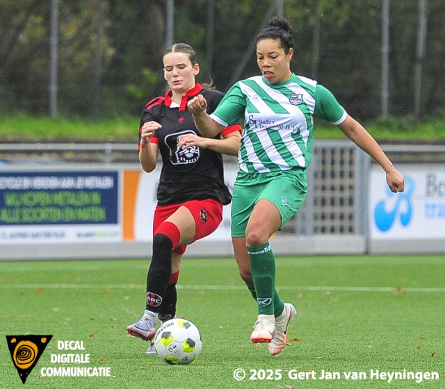 ARC - Xerxes DZB sv ARC - Xerxes DZB