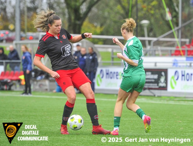 ARC - Xerxes DZB sv ARC - Xerxes DZB