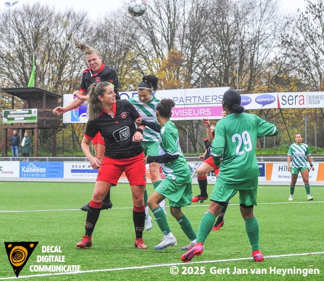 ARC - Xerxes DZB sv ARC - Xerxes DZB