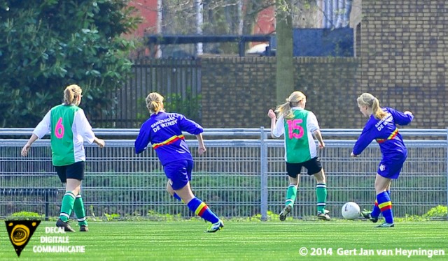 Haagse Hout - Wassenaar