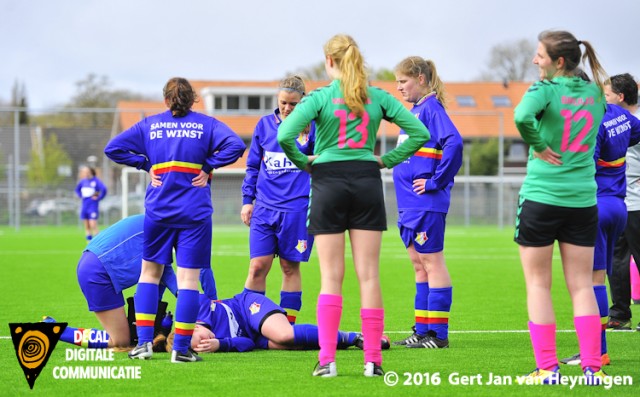 Wassenaar - Haagse Hout