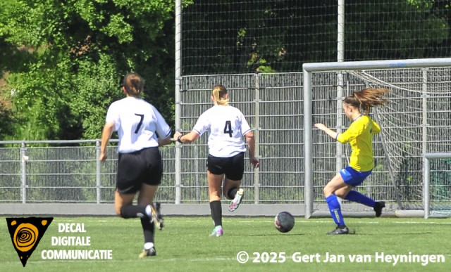 cvv Berkel II - Die Haghe