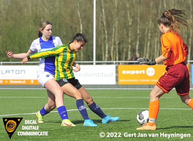 DSVP - Graaf Willem II VAC (MO17)