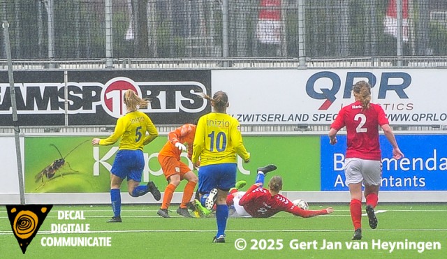 cvv Berkel - AZSV