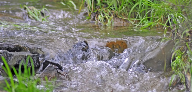 Het geluid van een kabbelend riviertje wat spontaan hoog ontspringt en zich een eigen weg baant naar het lager gelegen dal.