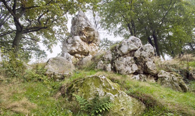 Mousny Massive Quartz Occurence. Bij Mousny onder La Roche in de Belgische Ardennen staan triomfantelijk de enorme gekliefde melkkwarts stenen.