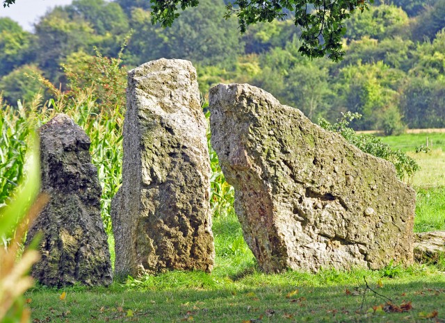 Drie van de vijf menhirs in het buurtschap Oppagne bij Wéris in de Belgische Ardennen. De stenen werden zo'n 5000 jaar geleden geplaatst. Vast is komen te staan dat de megalieten in de buurt van Wéris een 