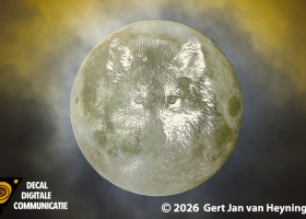 Wolfmoon